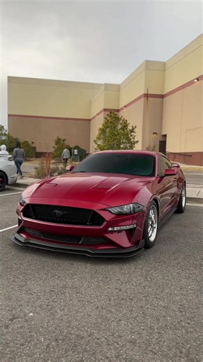 Building Your Dream Mustang: Tips and Insights