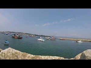 🔵 Indulge Gratify Coddle Mollycoddle Cosset Pamper Spoon-feed - Meaning and Examples