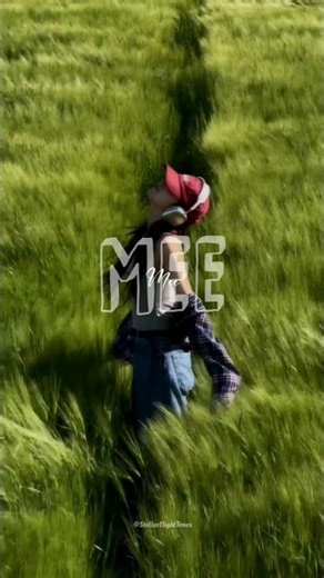 Bumblebee - Bambee |lyrics| #music #bumblebee #aestheticmusic #stellarnighttones |