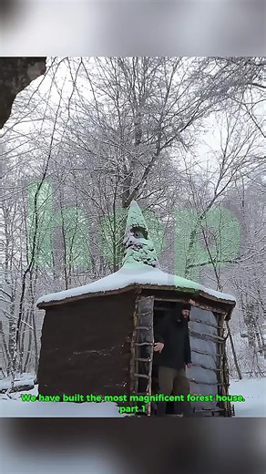 Essential Bushcraft Skills for Camping and Survival