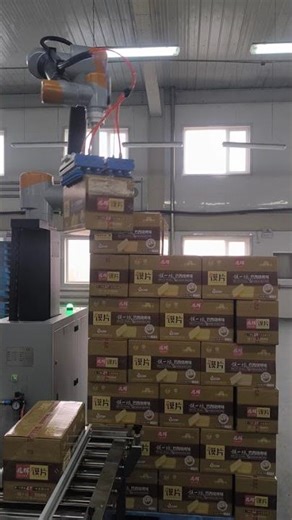 Collaborative robot palletizing for customization