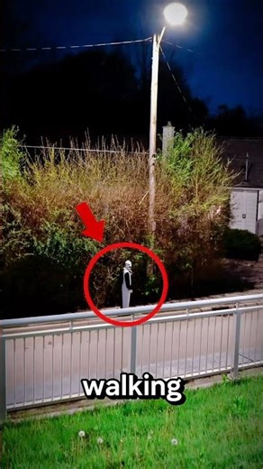 🤡 If You Ever See a Clown at Night… Run 😨 Unless You See the 🐧💗 #shorts #scary #animals