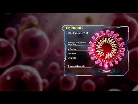 Showing Coronavirus Structure using 3D Medical Animation (UPDATED)