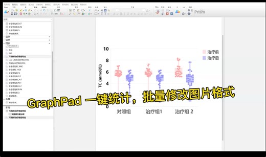 GraphPad Prism批量修改图片格式，一键修改显著性标记，保存模板等#好用到想充值！支持正版！感谢开发人员，支持正版