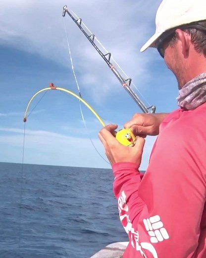 Spongebob Fishing Rod vs Shark Funny Encounter