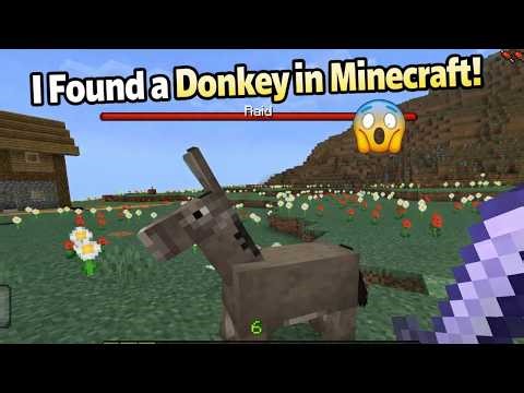 A Random Donkey Appeared! 🫏😂