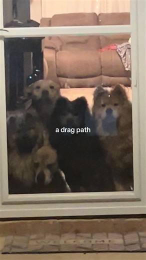 Coping with Pet Loss and Grief