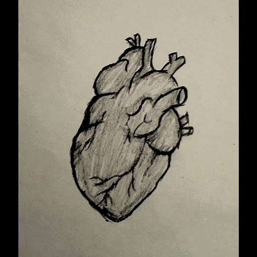 Realistic Heart Drawing | Pencil Sketch Anatomy #doodleart