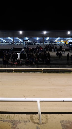 GREYHOUND MEMBERSHIP 👋 We're rolling out a new initiative in 2026.. 🎟️ FREE admission to all fixtures 🍺 20% bar discount 😋 Restaurant discount 🤩 Exclusive Rewards Club promotions and offers 👉 All for £25PP 👈 Full details: www.newcastle-greyhounds.co.uk/racing/racing-club-membership #NewcastleDogs 🐾 | Newcastle Greyhound Stadium