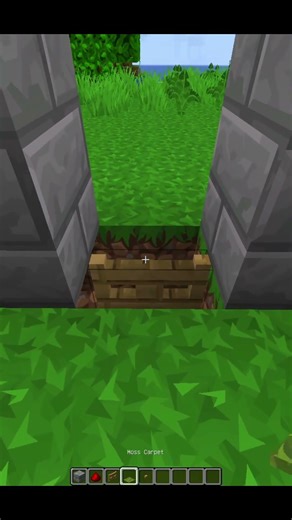 Minecraft Invisible Door #minecraft #shorts