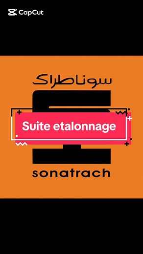 Électricité : Câblage et Instrumentation Électrique