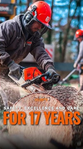 Safe removal with heavy equipment? We’ve got it covered.