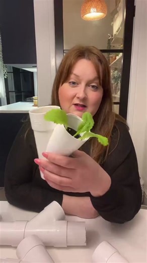 Taken from last nights LIVE. More step by step guides on how to build an easy diy hydroponic vertical tower system#hydroponichomestead #allotmentuk #homestead #smallholding #growyourownfood #homesteadlife #homesteading #growyourownvegetables #veggrowers #homegrown #gardening #soilless #hydroponics #easyhydoponics #diyhydroponics #soillessplanting #soillessfarming #allotment