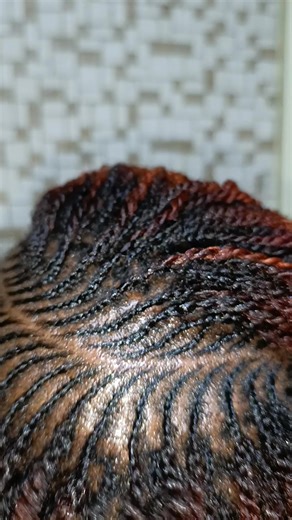 Creative Mini Twist Hairstyles for Natural Hair