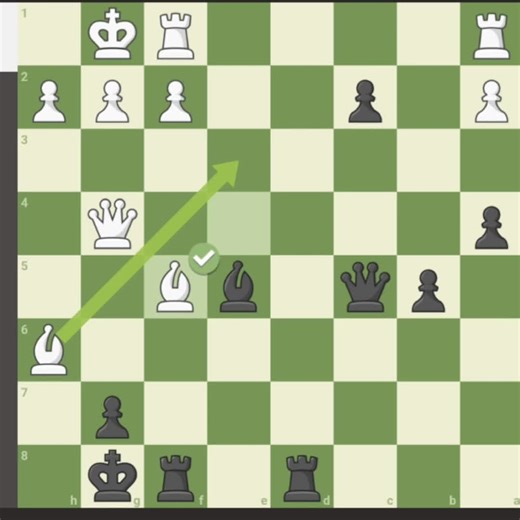 Mastering the Rook in Chess Strategy
