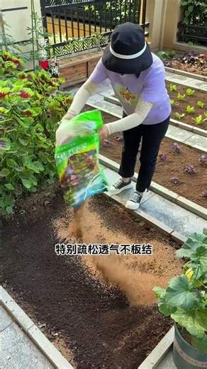 How to improve compacted soil Try this little trick! #soilcompactment