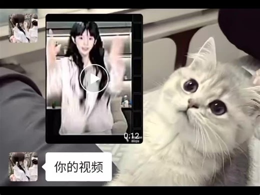 🈲🔪自剪收徒要的卡#官方大大我想要播放量破w🤧💗 #饭圈原创 #韩娱原创 #张嘉慧 #求上推荐 @阮瑶很困.妤 @⁶⁰⁷小皖𝓳𝔀桂🖤🥀悸门✂️ @