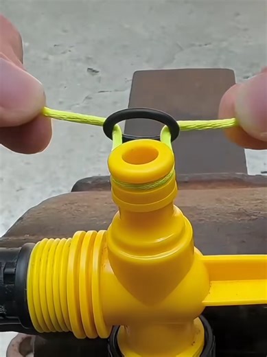 Life Lessons for Motivation and Success