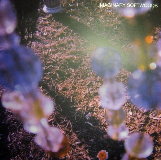 Imaginary Softwoods - The Path Of Spectrolite