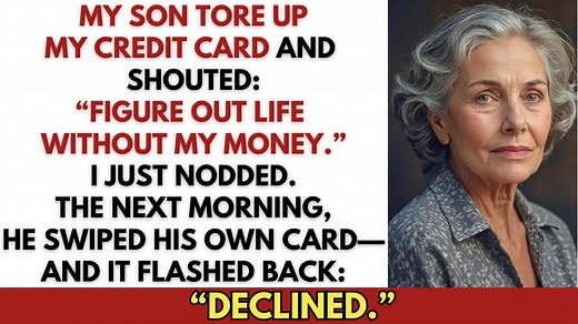 My Son Cut Off My Credit Card Yelling ‘Figure Out Life Without My Money’ — The Very Next Day… | Senior Stories