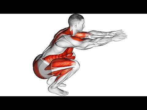 Stretching for Running (Warm-Ups Cool-Downs)