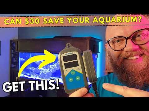 Is a heater controller necessary for a reef tank or aquarium? Find out!