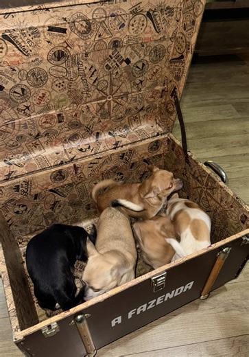 de malas prontas para SP!