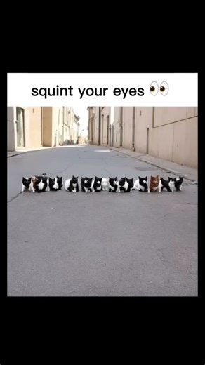 Squint your eyes and you’ll see it #shorts #funny #giveaway