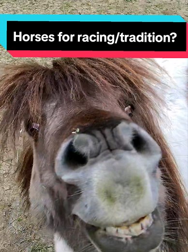 Animal Exploitation: Cruelty Behind Entertainment