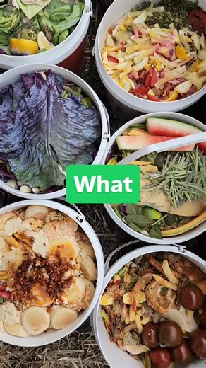 12 reactions | 2025 has been a big year for YIMBY community compost in Castlemaine and surrounds... Check out the final Compost Conversation for 2025 for the wrap up... yimbycompost.com/compostconversation/2025-a-big-composting-year #castlemaine #Compost #YIMBY #community #2025 | YIMBY & The Hub Foundation | Facebook