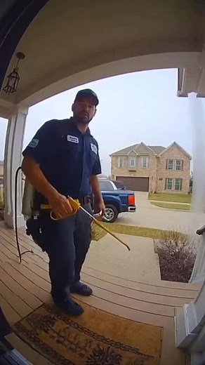 Don’t use the cheap/wrong pest control company! Call your Local Bug Guy! #localbugguy #pestcontrol #fyp #spanishfork #bugs #pestcontrolexperts | Local Bug Guy