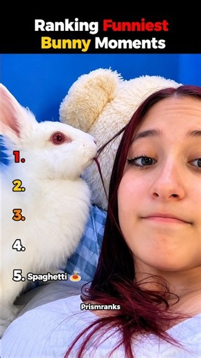Ranking Funniest Bunny Moments 🐰