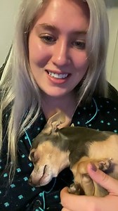 48K views · 3.4K reactions | Hermes pouting since I didn’t get him his treats #dog #puppy #happy #joke #canada #comdy #dogofinstragram #animal #fyp | madi | Facebook