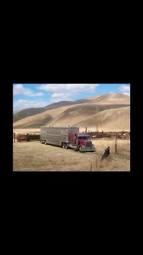 12K views · 126 reactions | What did your first set up look like? New episode of The Rural Dispatch podcast is out now!#behrensadventures #theruraldispatch #freightliner #cimarrontrailers | Behrens & Co. | Facebook