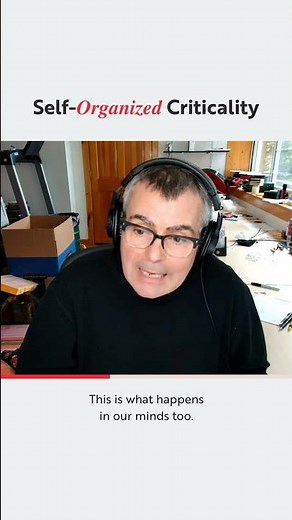 Self Organized Criticality