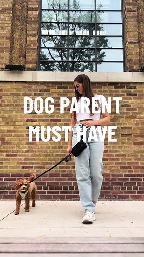 this may be the most convenient dog walk bag ever 👌🏼🙌🏼✨ it’s so handy and so light too 🫶🏻 #dogmom #dogparent #dogwalk #dogwalker #dogliver #doghacks #dogtips #puppytips #dogproduct