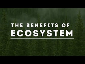 Benefits of Ecosystem | How Nature Works in Harmony | Grade 8 | Science | Khan Academy