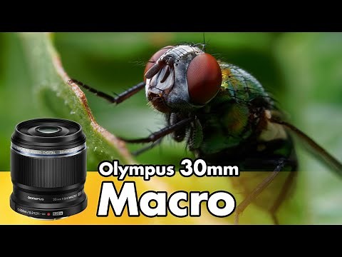 Olympus 30mm Macro Review