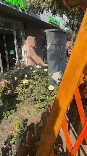 Պինոկիո Փայտերի Մոլորակ- Pinocchio | Aram Manukyan