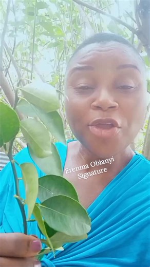 Skin blemishes? No worries, this helps. #skincare #skincaretips #everyone #fyp #fypシ #health #everyoneシ゚ #viralpage #viralvideoシ | Healthy Living - Fight Back With Food