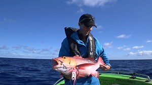 21 reactions | Sometimes it pays to slow it up! Nige and Greg head offshore in search of some monsters using a slow jigging technique. Some cracker tips and some serious fishing action! Check it out. | BCF - Boating, Camping, Fishing | Facebook