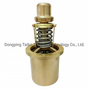 [Hot Item] Replacement Thermostats for Amot 1096, Thermostatic Valve Kit, Thermal Element 9654