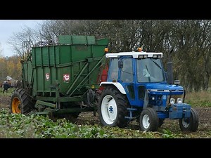 VINTAGE Ford Sugar Beet Harvest 2025