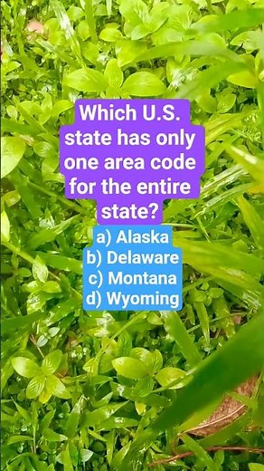 Which U.S. state has only one area code for the entire state?