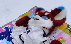 我的furry小日常雪花飘飘，红枫陪伴