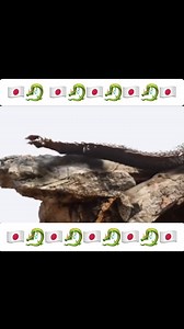 👽👽👽👽👽👽👽👽👽 #dragonjapan #dragon #mistery | Aliens UFO Caught on Camera