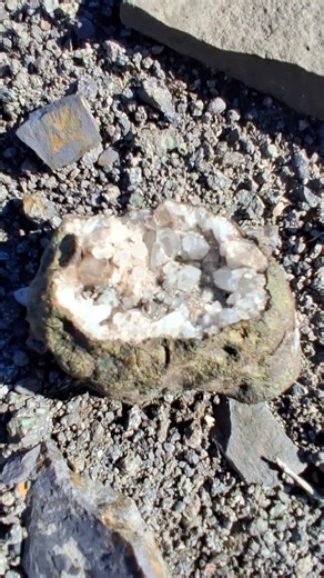 Prospecting minerals in Northern Nevada East of Reno 2
