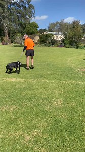 Introducing the Pet Control HQ Electric Dog Fence System – Your Key to Stress-Free Pet Containment! 🐾 Keep Your Pups Safe: Our system offers a humane solution to contain your furry friends within a customised boundary, preventing escape artists and ensuring their safety. 🏡 Customizable & Expandable: Tailor the layout to suit your yard, with the option to expand up to 10 acres, giving your pets more room to roam. 🐶 Train Multiple Dogs Simultaneously: Perfect for multi-dog households, our syste