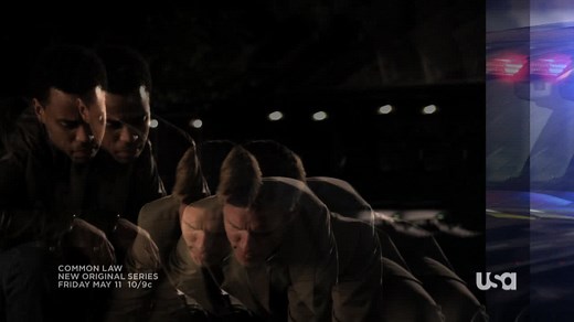Common Law (TV Series 2012)