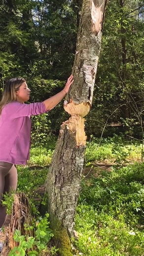 Cutting With a Small Knife! | Crafty Panda